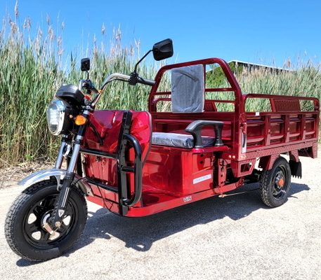 Ηλεκτρικό τροφοδοτημένο φορτηγό 1000 μηχανοποιημένο Watt μοτοποδήλατο 3 φορτίου μηχανικό δίκυκλο ποδηλάτων ροδών
