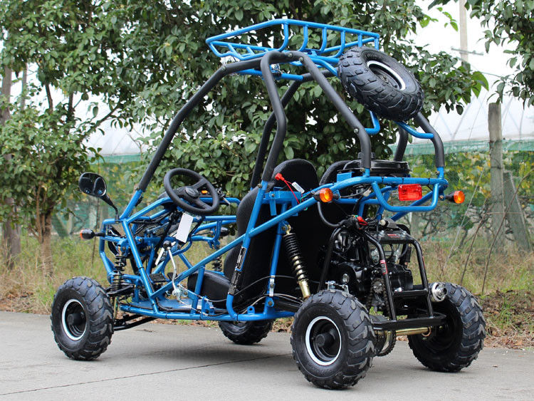 Ο οριζόντιος τύπος πηγαίνει Kart με λάθη με τον ενιαίο κύλινδρο 110cc, ανώτατη ταχύτητα 40 Km/H
