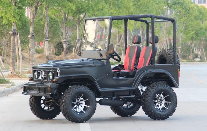 Το μίνι τζιπ 4WD που συναγωνίζεται τον αθλητισμό ATV πηγαίνει Kart με λάθη για τον ενήλικο, 300cc πηγαίνουν Kart