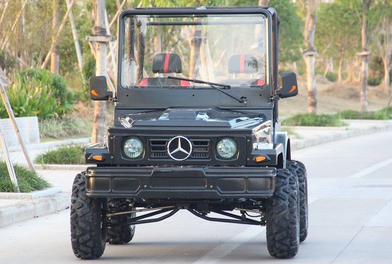 Το μίνι τζιπ 4WD που συναγωνίζεται τον αθλητισμό ATV πηγαίνει Kart με λάθη για τον ενήλικο, 300cc πηγαίνουν Kart