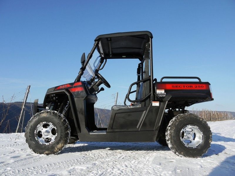 UTV 250 Tiltable οχήματα πολλαπλών χρήσεων αερίου βαρούλκων φορτωτών με Efi - κόκκινο, Windsheild και Towbar