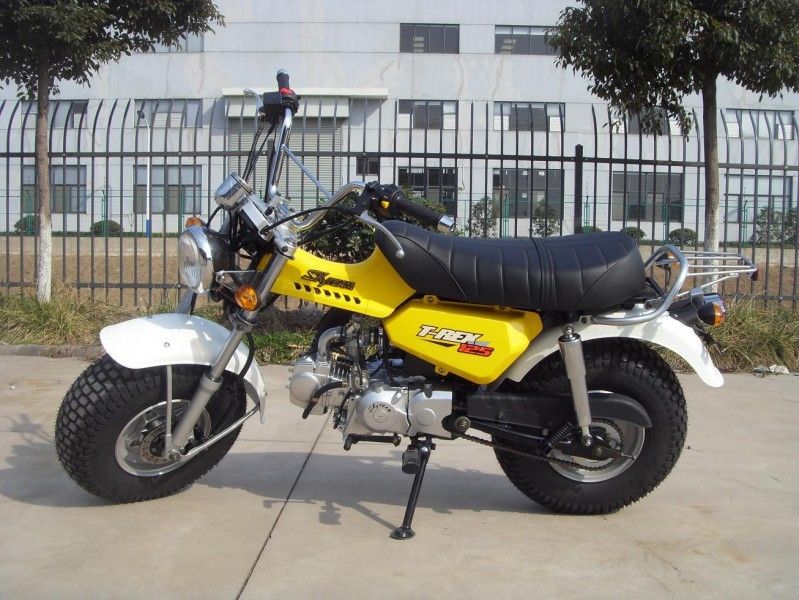 Skyteam Τ - Rex 125 μίνι ποδήλατο 125cc, μοτοσικλέτα 2 ανθρώπων με το εργαλείο ταχύτητας 4