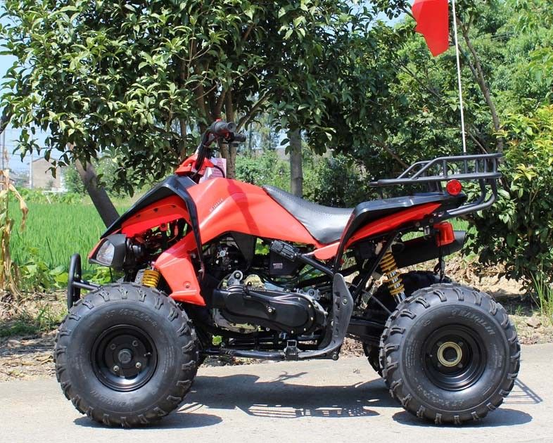 13.9HP δροσισμένη νερό νεολαία που συναγωνίζεται τον πολυάσχολο ATV 200cc 4 με το οπίσθιο φρένο δίσκων