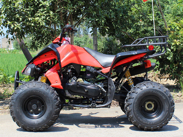 200cc τετράτροχο ATV, 8 