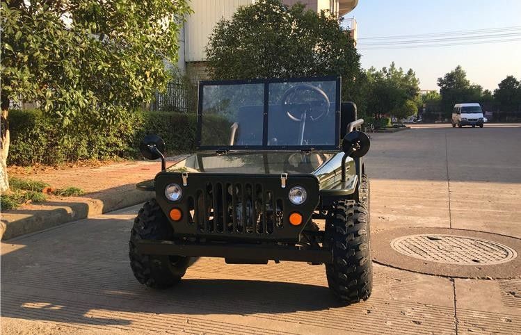 Η έγκριση 50cc CE μίνι πηγαίνει Karts για τα παιδιά, τα ηλεκτρικά παιδιά με λάθη πηγαίνουν Kart