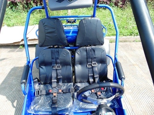 2.25 η Gal 17,4 HP ανάφλεξης 300cc CVT EFI CDI πηγαίνει Kart με λάθη
