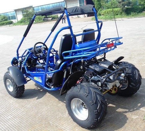 2.25 η Gal 17,4 HP ανάφλεξης 300cc CVT EFI CDI πηγαίνει Kart με λάθη