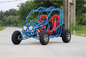 Fashionable 2 Seat Off Road Go Kart Buggy 200cc 4 Stroke Automatic Clutch