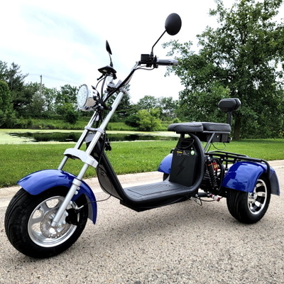 Ο ε-νεαρός δικυκλιστής 2000W ηλεκτρικά 3 κυλά το παχύ ύφος CityCoco μπαλτάδων Trike Harley μηχανικών δίκυκλων ροδών
